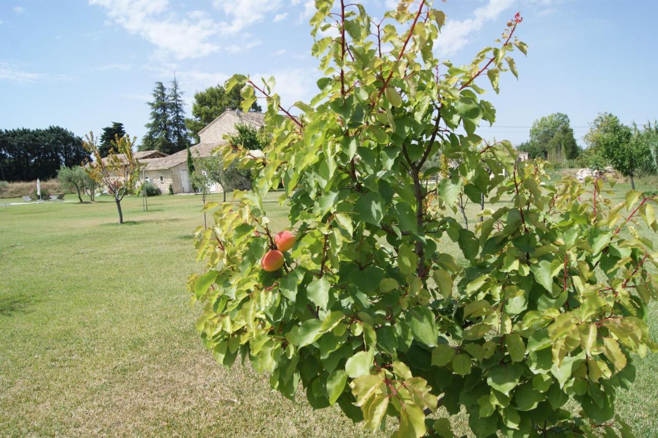 B&B Dans Mas En Pierres Robion en Luberon Ngoại thất bức ảnh